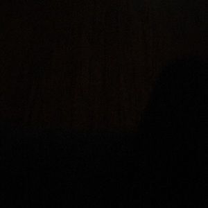 Meet your Posher, Sunny